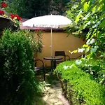 בית הארחה Guest Boutique וארנה