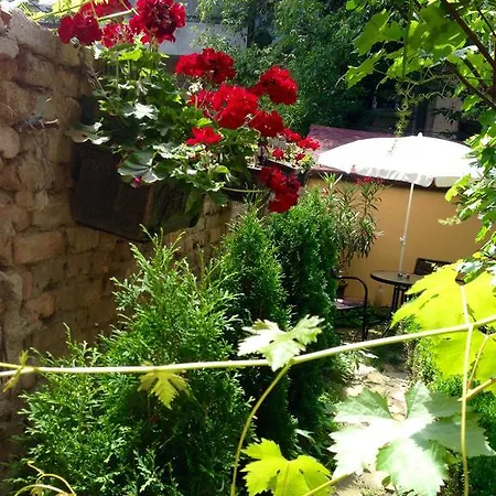 Guest Boutique Varna